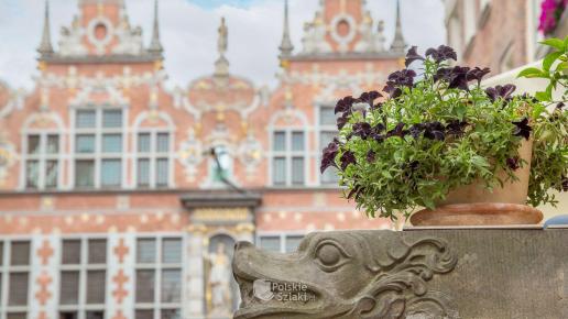 Gdańsk ulica Piwna