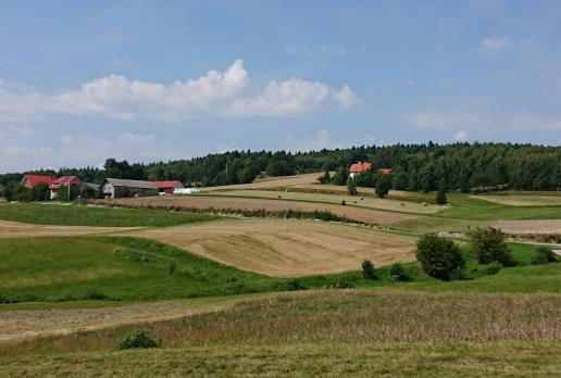, Mariusz