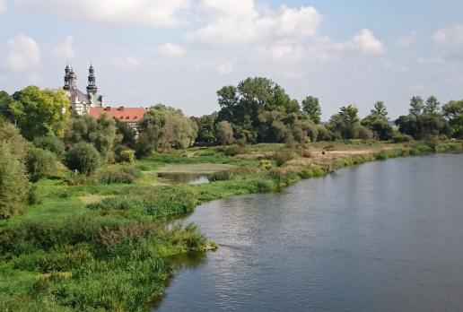Kościół pocysterski w Lądzie, Mariusz