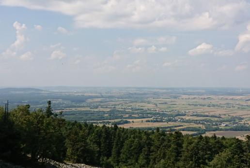 , Mariusz
