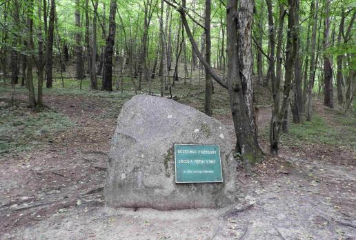 rezerwat Źródła rzeki Łyny, Joanna