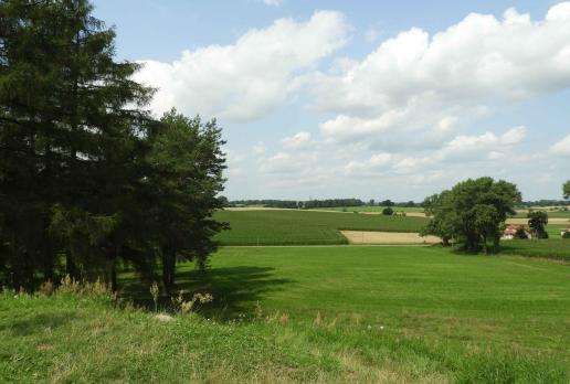 widok z Kopca Jagiełły, Joanna