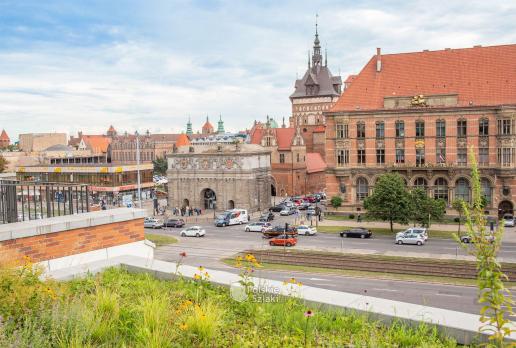 Widok z Forum