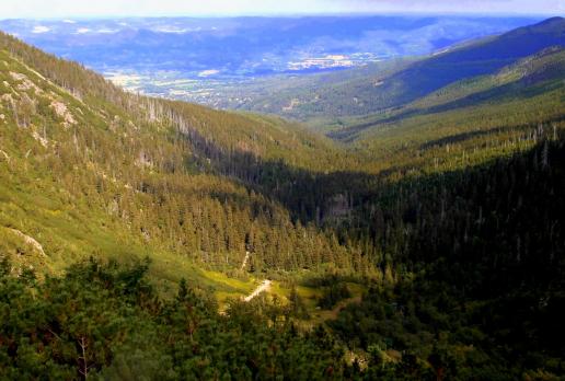 zejście ze Śnieżki - czerwony szlak, Magdalena