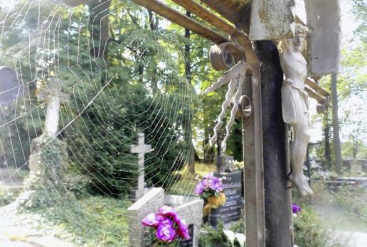 Imbramowice - stary cmentarz, Magdalena