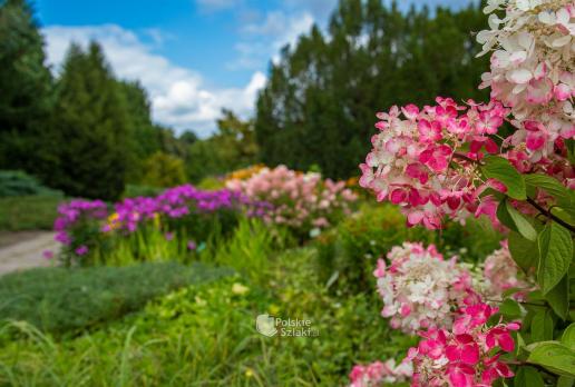Ogród Botaniczny