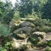 , Mariusz