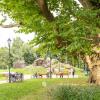 Park pałacowy