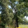 żółtym szlakiem nad zaporę, Magdalena