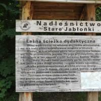 wokół jeziora Szeląg Mały, Joanna