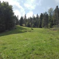polana, mirosław