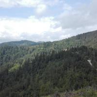widok, mirosław