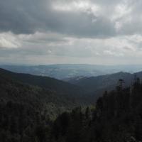 widok, mirosław