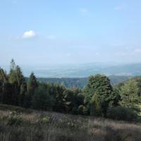 widok, mirosław