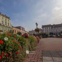 Krapkowice Rynek