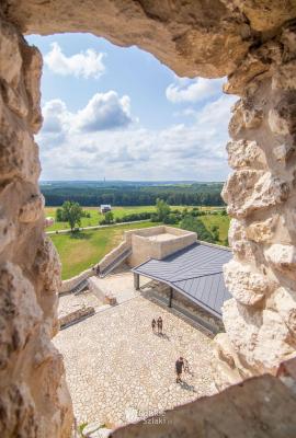 Zamek Rabsztyn