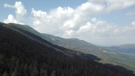 widok, mirosław