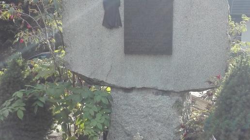 , mirosław