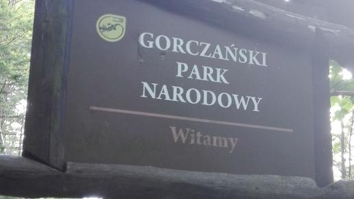 , mirosław