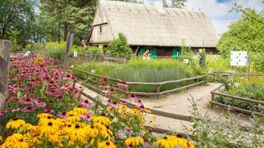 Skansen w Olsztynku