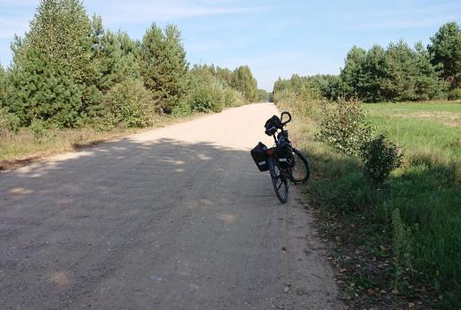 , Mariusz