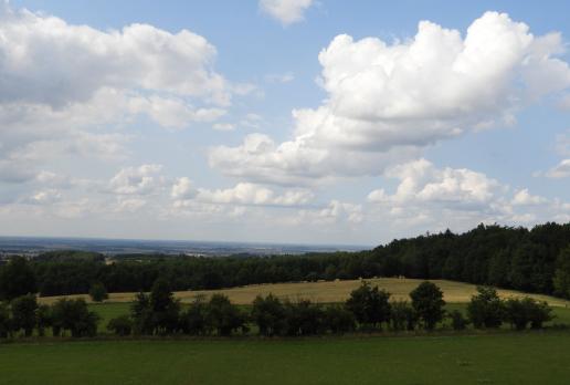 widok z Góry Dylewskiej, Joanna