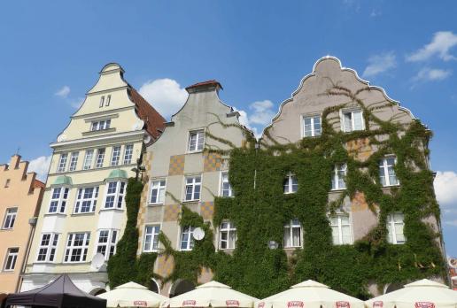Olsztyn - rynek, Joanna