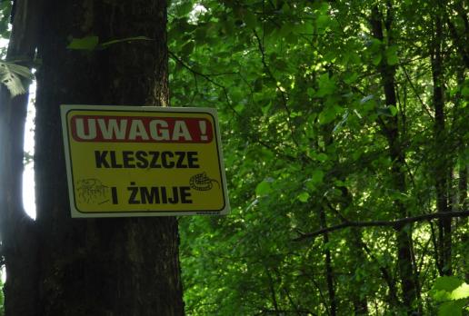 wokół Jeziora Plusznego, Joanna