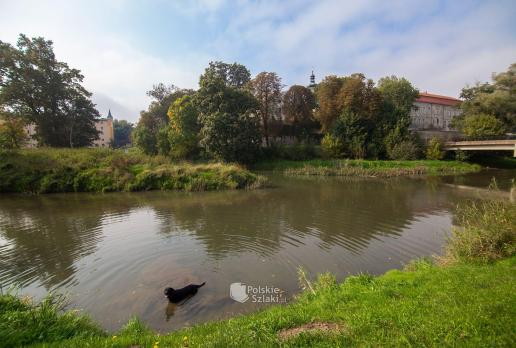 Krapkowice