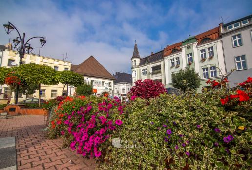 Krapkowice Rynek