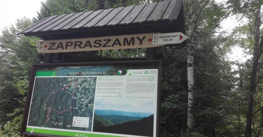 Wycieczka z bonusem - zdjęcie