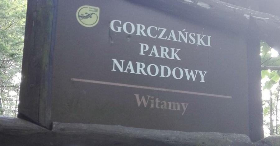 Wieża widokowa na Gorcu - zdjęcie