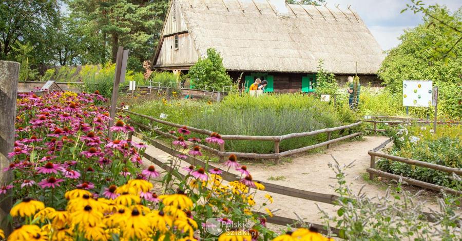 Olsztyn i Olsztynek czyli Warmia i Mazury - zdjęcie