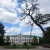 Pałac Krasińskich, allie