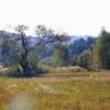 , Magdalena