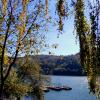 Jezioro Rożnowskie - okolice zapory, Magdalena