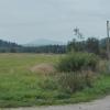 szlak, mirosław