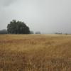 szlak, mirosław