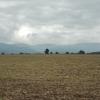widok, mirosław
