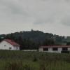 widok, mirosław