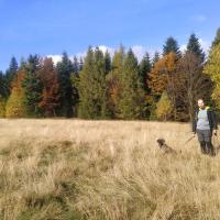 czarny szlak na Łopień - Polana Myconiówka, Magdalena