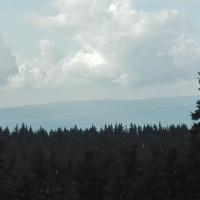 widok, mirosław