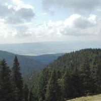 widok, mirosław