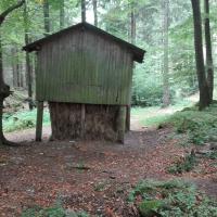 paśnik na szlaku, mirosław