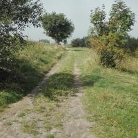 szlak, mirosław
