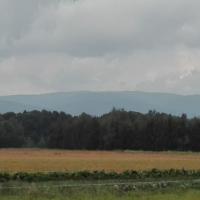 widok, mirosław