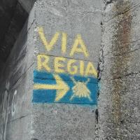 via regia, mirosław