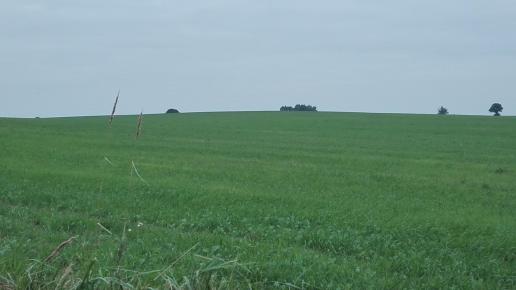 pielgrzymka, mirosław