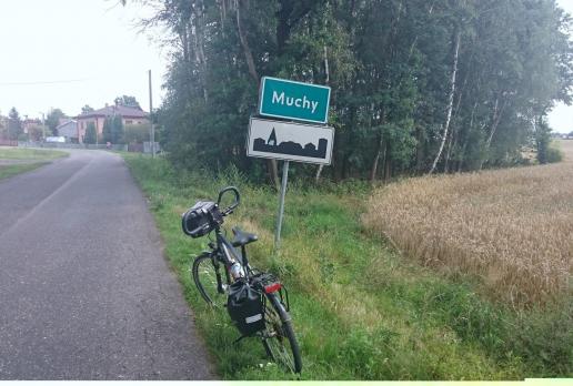 , Mariusz