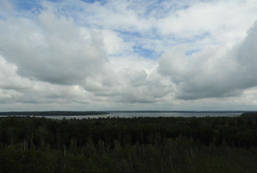 Mamerki - widok z wieży na Jezioro Mamry, Joanna